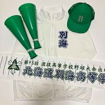 【激レア★美品】中村高校　2017甲子園出場 応援グッズ 5点セット 激レア☆美品】中村高校 2017甲子園出場 応援グッズ 5点セット